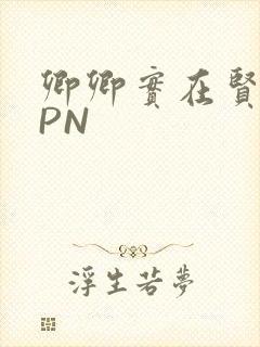 卿卿实在贤良NPN