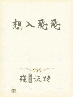 想入飞飞封面