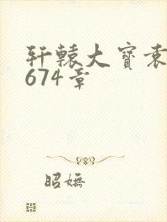 轩辕大宝袁雪妃674章