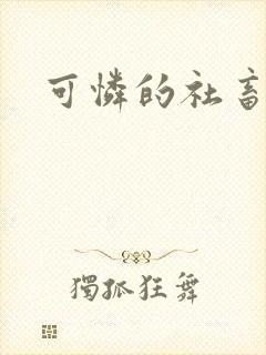 可怜的社畜小说