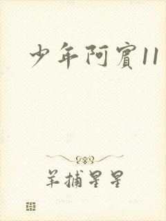 少年阿宾11