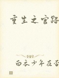 重生之官路风流