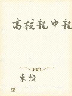 高校龙中龙封面