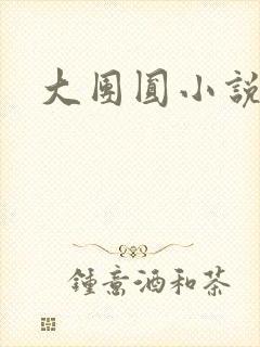 大团圆小说封面