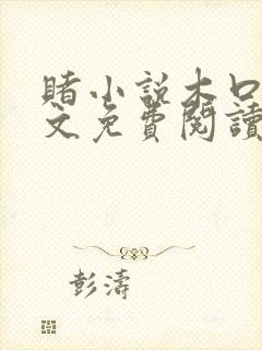 赌小说木口银全文免费阅读笔趣阁