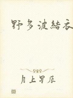 野多波结衣