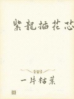 紫龙插花芯方正