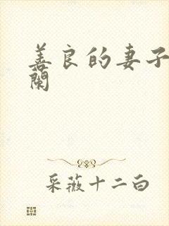 善良的妻子王晓兰封面