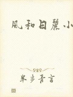 风和日丽小说封面
