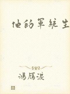 他的军统生涯封面