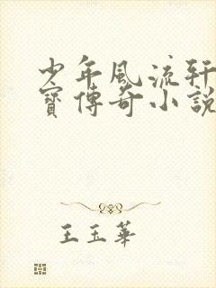 少年风流轩辕大宝传奇小说封面