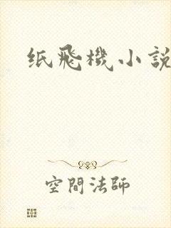 纸飞机小说