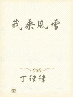 我乘风雪