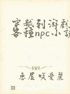 穿越到游戏里和各种npc小说