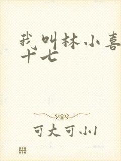 我叫林小喜今年十七