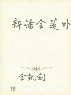 新潘金莲外传封面