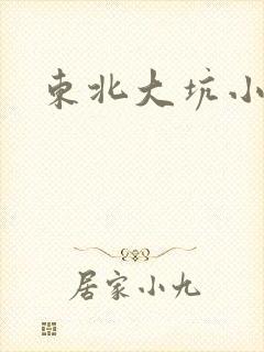 东北大坑小说