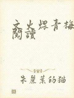 文火煨青梅免费阅读