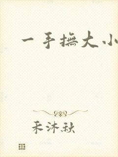 一手抚大小说