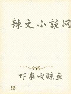 辣文小说网