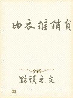 内衣推销员封面