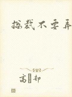 总裁不要弄疼我