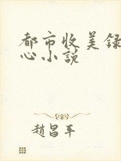 都市收美录宁素心小说