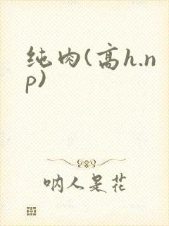 纯肉(高h.np)