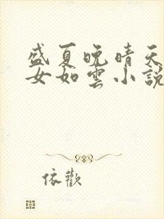 盛夏晚晴天之美女如云小说封面