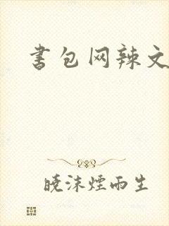 书包网辣文合集封面