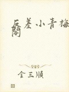 反差小青梅笔趣阁封面