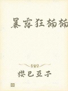 暴露狂楠楠封面