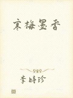 寒梅墨香封面