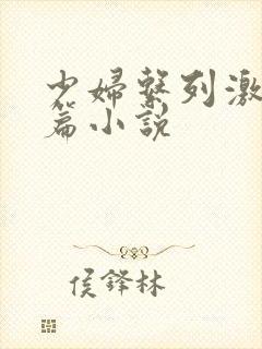 少妇系列激情短篇小说封面