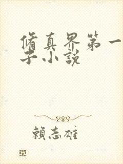 修真界第一病秧子小说封面