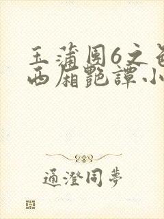 玉蒲团6之色情西厢艳谭小说封面