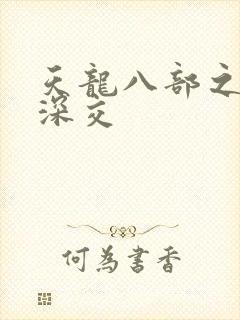 天龙八部之极乐深交