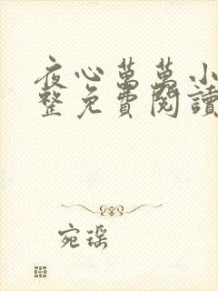 夜心万万小说完整免费阅读全文