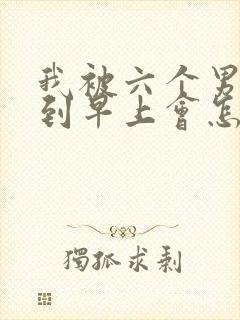 我被六个男人躁到早上会怎么样封面