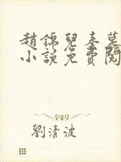 赵锦儿秦慕修的小说免费阅读全文封面