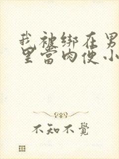 我被绑在男公厕里当肉便小说