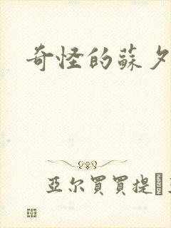 奇怪的苏夕封面
