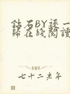 钻石BY逐一而归在线阅读