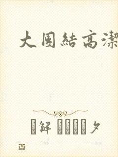 大团结高洁封面