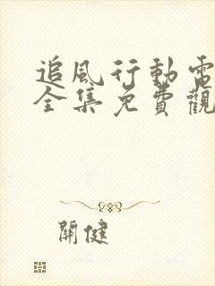 追风行动电视剧全集免费观看