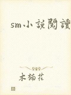 sm小说阅读