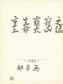 重生霸宠之摄政王爷太凶猛