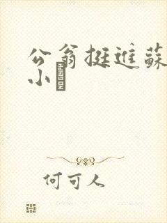 公翁挺进苏玥的小泬
