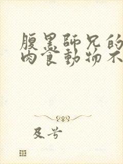 腹黑师兄的日常肉食动物不食草