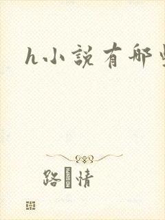 h小说有哪些封面